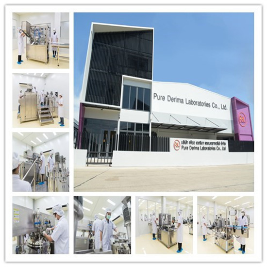 PDL(泰國)化妝品有限公司 PDL(泰國)化妝品有限公司