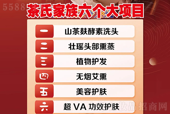 茶氏家族六大項目 茶氏家族六大項目
