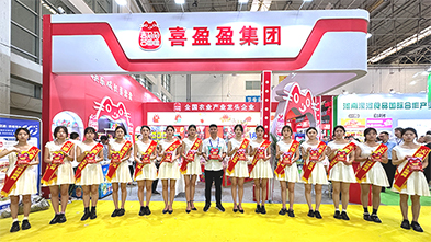 ���ƏV���ݴ�����(qi��ng)��