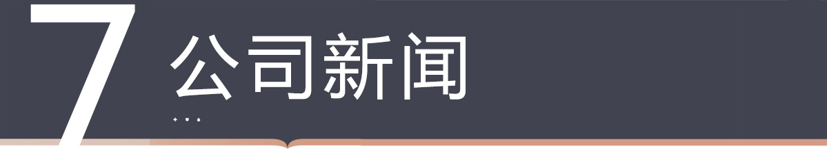 ��˾��