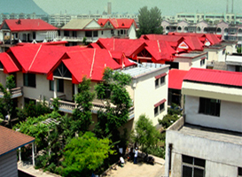 ������_(k��i)�꣬��(d��n)�Įa(ch��n)ƷЧ����ô�k��